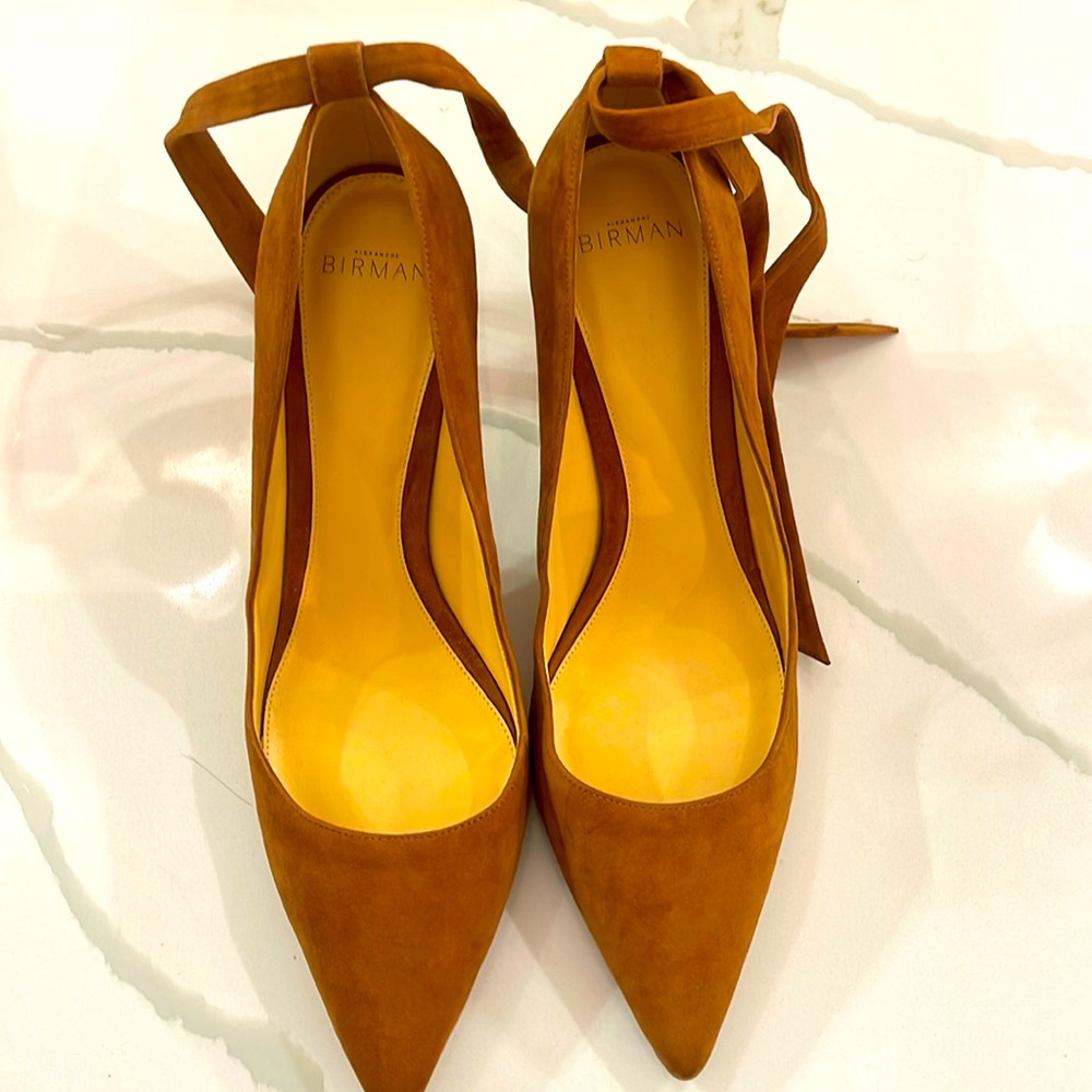 Alexandre Birman Pumps